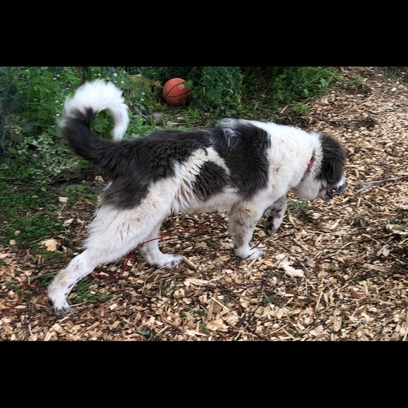 Meet your Posher, Julia - Picture 1 of 1